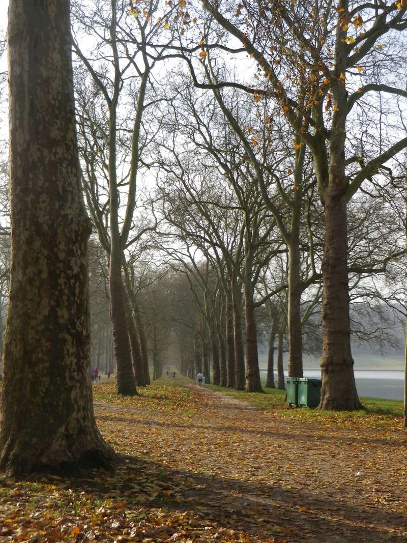 suisses - La Pièce d'Eau des Suisses, Versailles Imgp5230