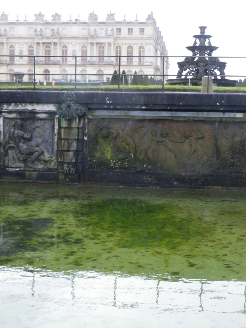 Versailles, le Bassin du Bain des Nymphes de Diane Imgp5640