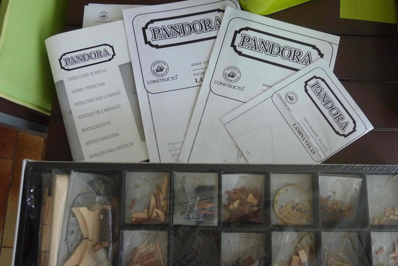 Kit bois PANDORA de chez CONSTRUCTO 710