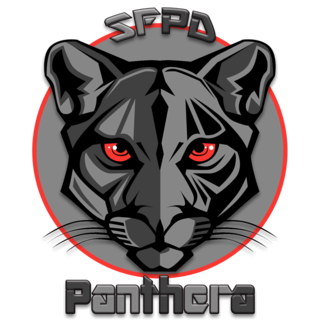 Team 11 - Panthera Panthe13