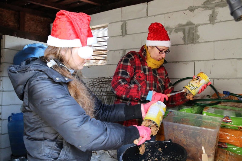 Repas de noël au refuge ! 121
