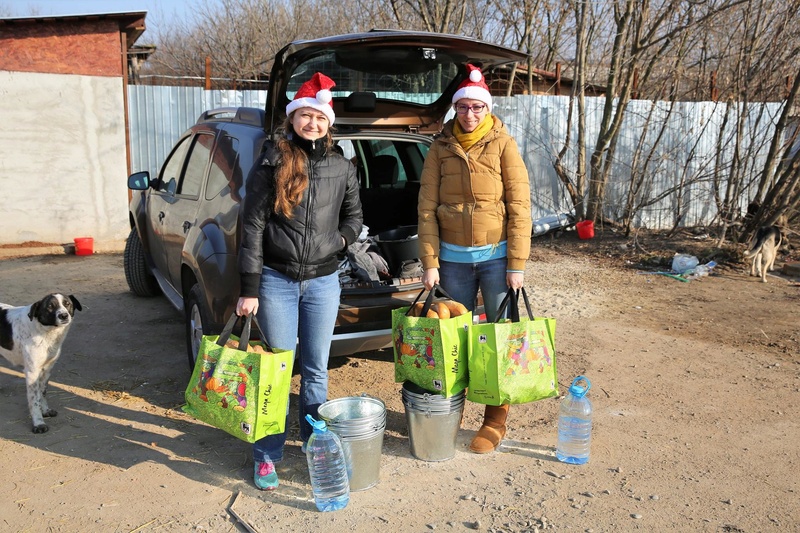 Repas de noël au refuge ! 218