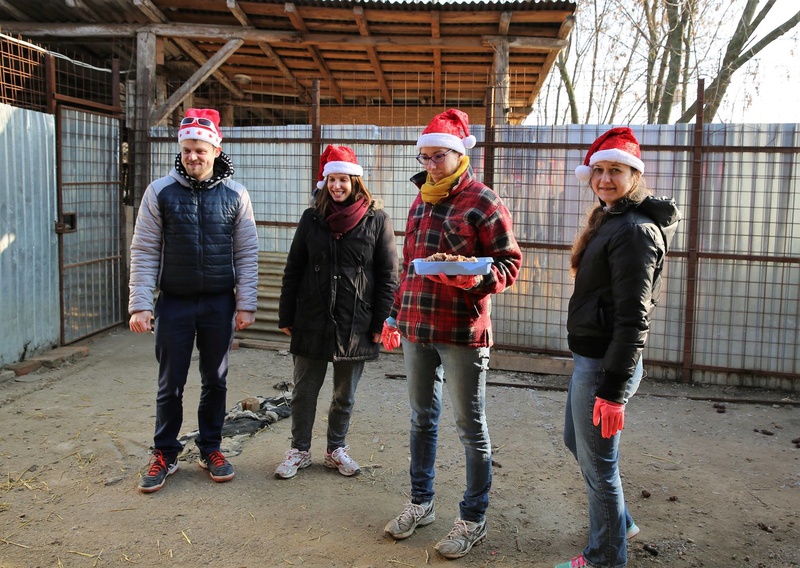 Repas de noël au refuge ! 516