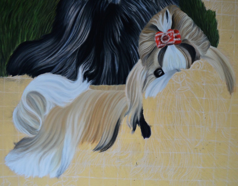 Grand tableau shih tzus 70x100 cm  412