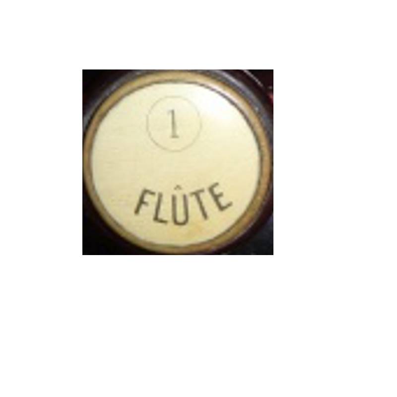 Recherche button Debain 1880 Flute10