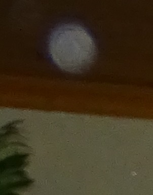 apparition  d une orbe 01312