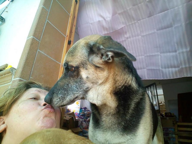 AU Linda 15995810