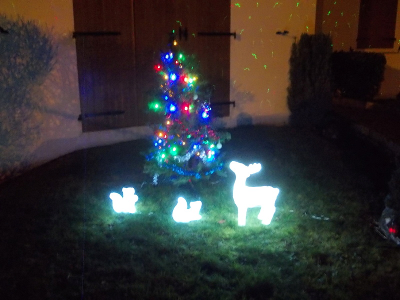 Mon jardin illuminé 2016(helenoel) Dscn0627