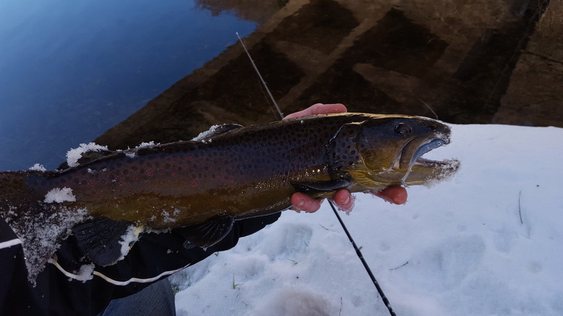 sortie pêche janvier  20170118