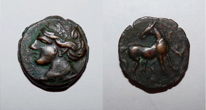 Des monnaies trouvées à Carthage Cartha10