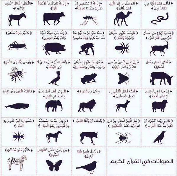 اسماء الحيوانات في القران الكريم Image10