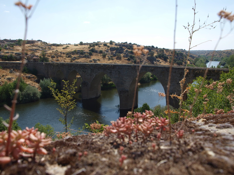 PORTUGAL (15 jours) traversée nord est / sud est P1015927