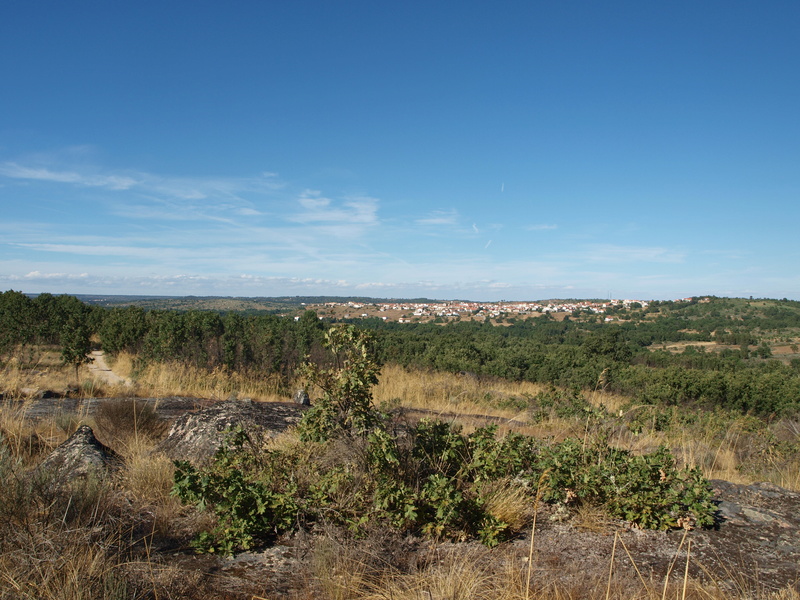 PORTUGAL (15 jours) traversée nord est / sud est - Page 4 P8176033