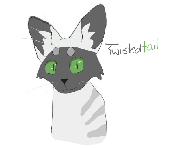 Twistedpaw stares into your soul Twiste10