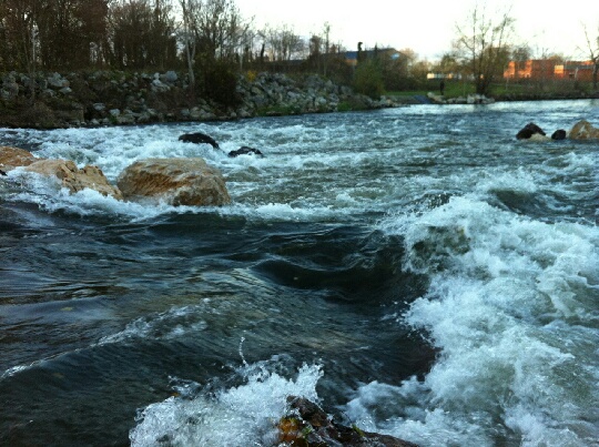 Sortie eau calme à Poses samedi 26.11 ouverte à tous (*) 14798310