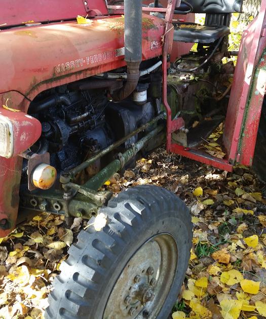 massey ferguson 145 ou pas ? Massey10