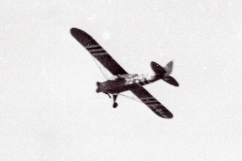 Piper cub de la DB Piper_15