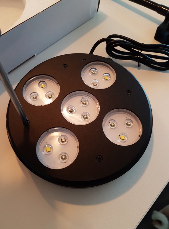 Coral Box Moon : une rampe led accessible 20161127