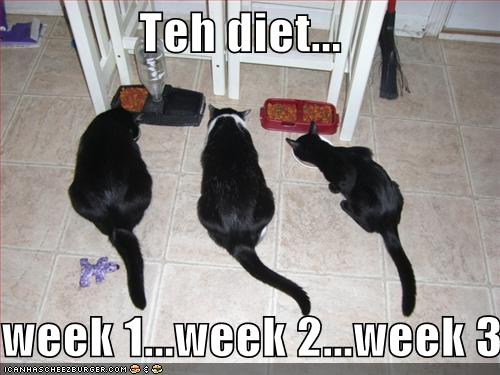 Jokes and Laughs...  - Page 3 Diet_w10