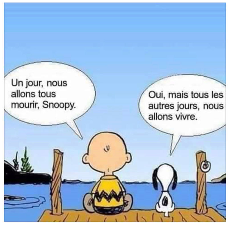 HUMOUR : Petites phrases, pensées, réflexions.... - 1 - Page 25 Snoopy10