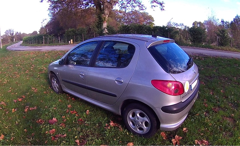 Présentation de ma Peugeot 206 2016_113