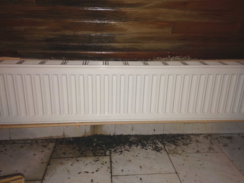 Gros dégâts sur rampant en lambris chambre à coucher 20161115