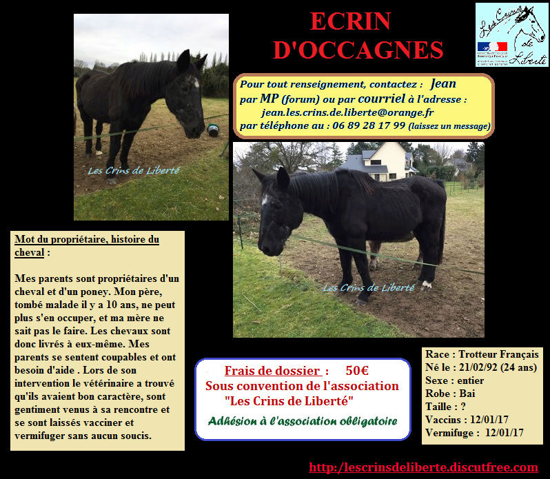 Les chevaux à sauver des Crins de Liberté ... et le calendrier 2017 Ecrin_19