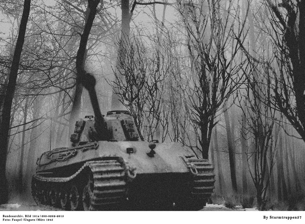 La dernière bataille, Hongrie, secteur du lac Balaton, mars 1945 [1/35] Artwor14