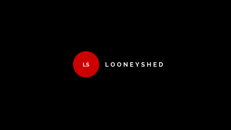 LooneyShed 11224610
