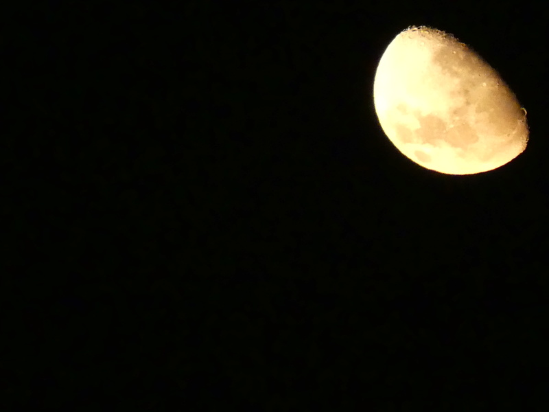 Lune en ce moment à Nouméa ! P1140613