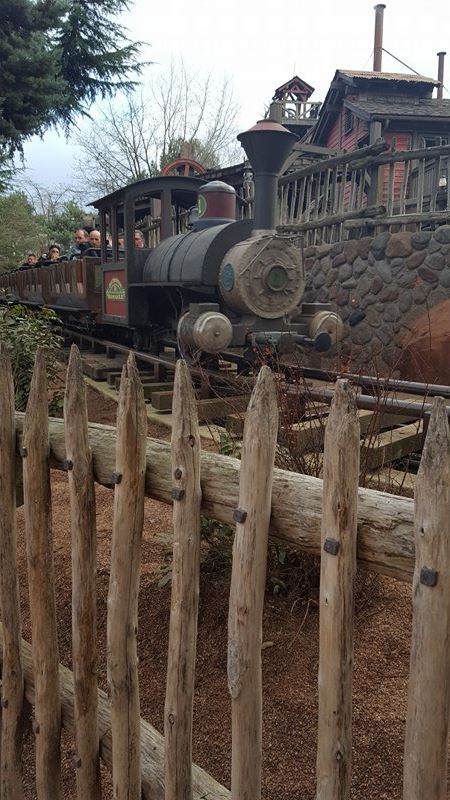 Big Thunder Mountain - Réhabilitation [Frontierland - 2015-2016] - Page 28 15497711