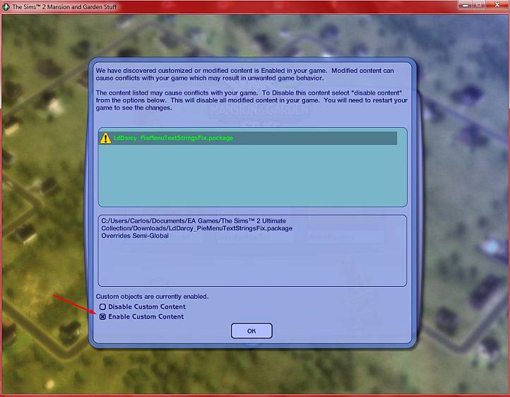 The Sims 2 Install Custom Content Problem Screen10