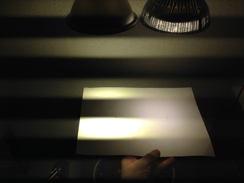 Indoor Bonsai under LED lights. - Page 17 Img_0018