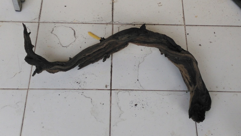 WTS BARANG AQUASCAPE PINDAHAN RUMAH 12_311