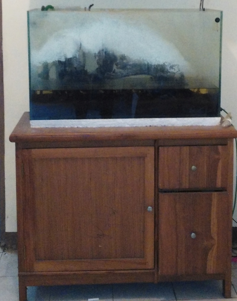 WTS BARANG AQUASCAPE PINDAHAN RUMAH 311