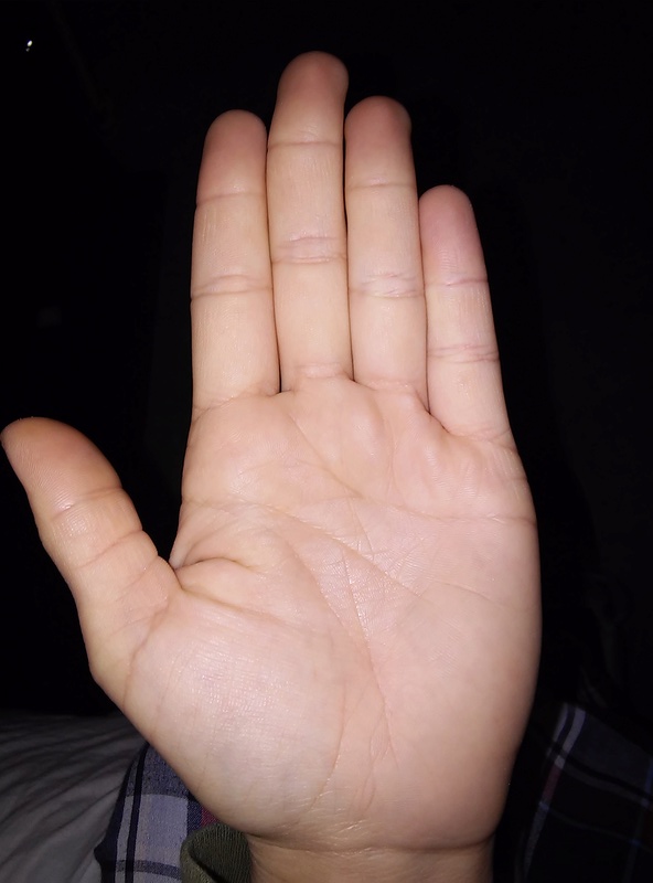 Please read my palms somebody I am 28, left handed 01121710