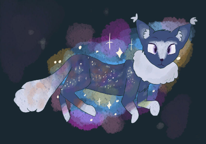 Weird Cats In SPACE Cloudy10