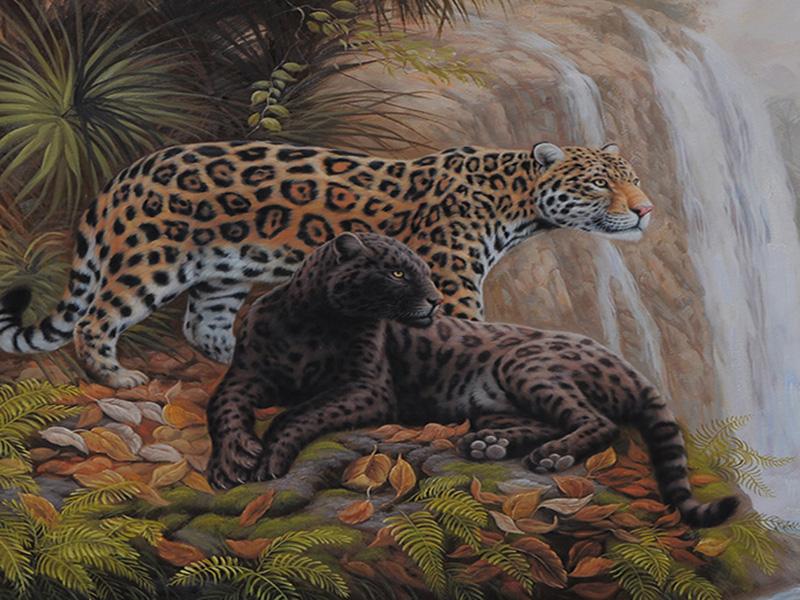 leopard oil painting  Leopar11