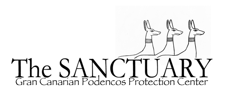 Logo du Sanctuaire !  Aredsa10