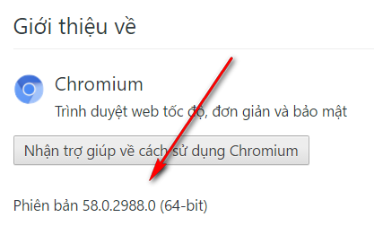 chronium 58.0.2988 tiếng việt 110