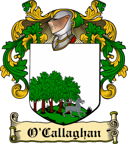 Callaghan Royal Court Coa_im10