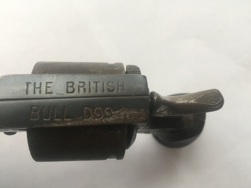 British Bull Dog Fullsi14