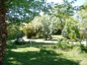 Gite pêche Petit Rhône Camargue ponton et jardin, 13460 Les-Saintes-Maries-de-la-Mer (Bouche-du-Rhone) 10580210