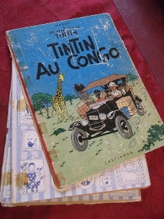 La grande histoire des aventures de Tintin. - Page 4 Dscf2812