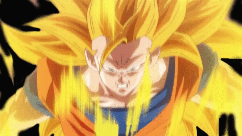 Discord Rules Ssj3goku GIF - Discord Rules Ssj3Goku Anime Fighters