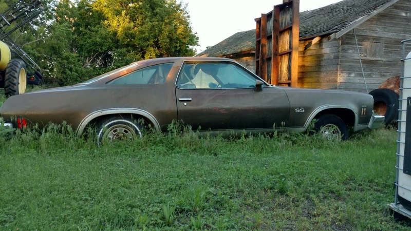 1973 Chevelle SS 350 Project 00a0a_10