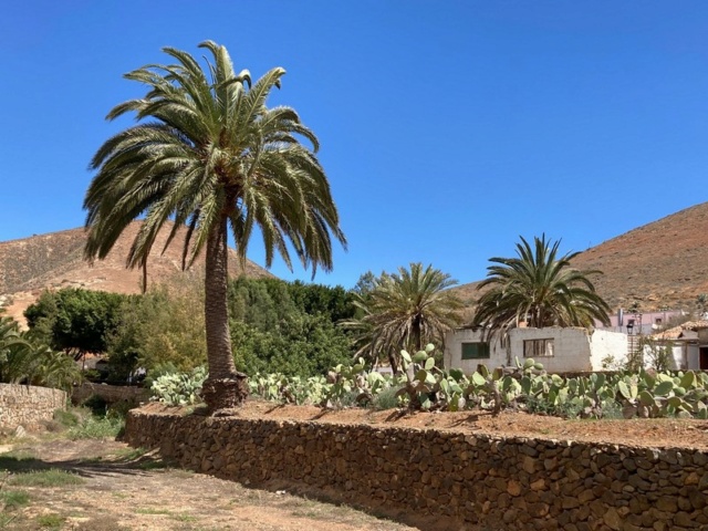 Découverte de Fuerteventura, l'île des contrastes Fue-fo64