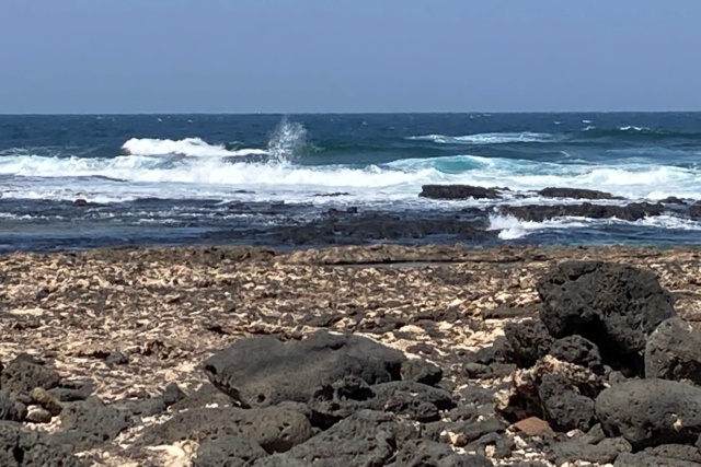 Découverte de Fuerteventura, l'île des contrastes Img_1017