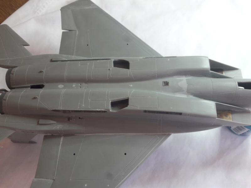 F 15 C monogram 1/48 + diorama terminés 20201020