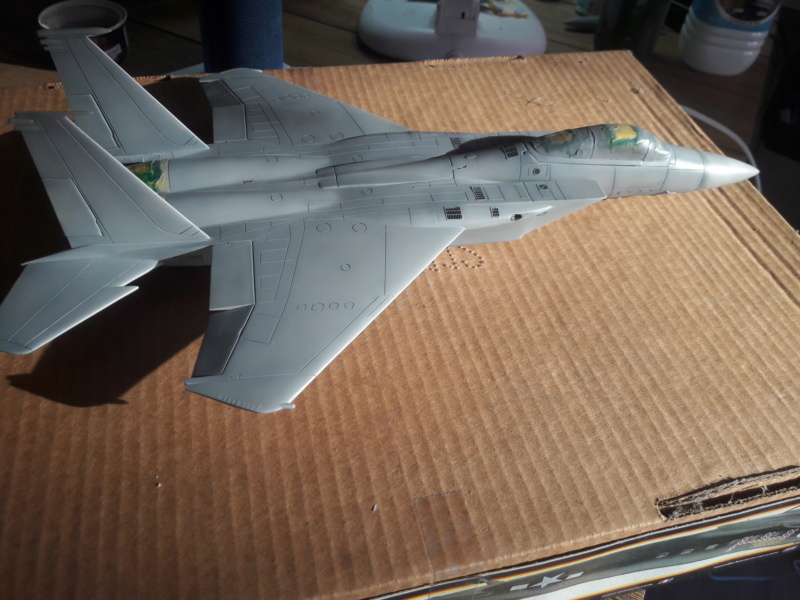 F 15 C monogram 1/48 + diorama terminés 20201031